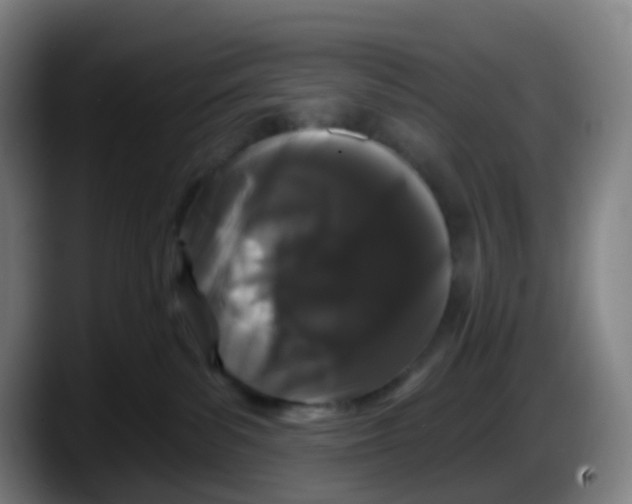 X0000087610139200705251950