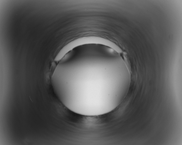 X0000087610141200705251950