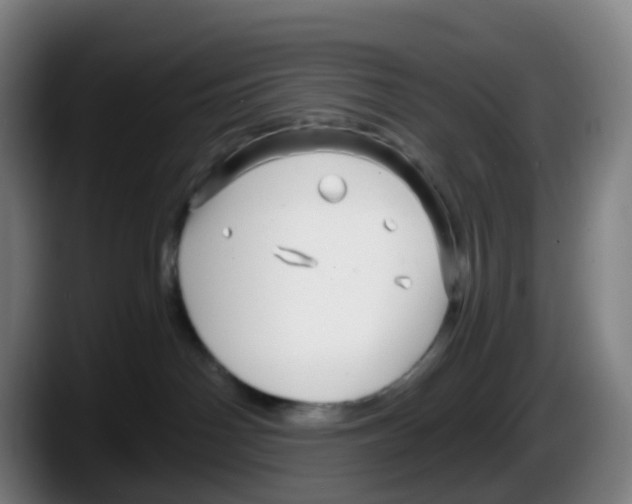 X0000087610142200705251950