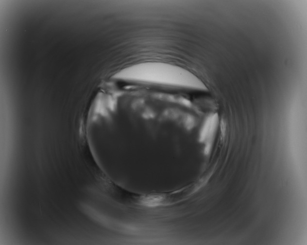 X0000087610143200705251950