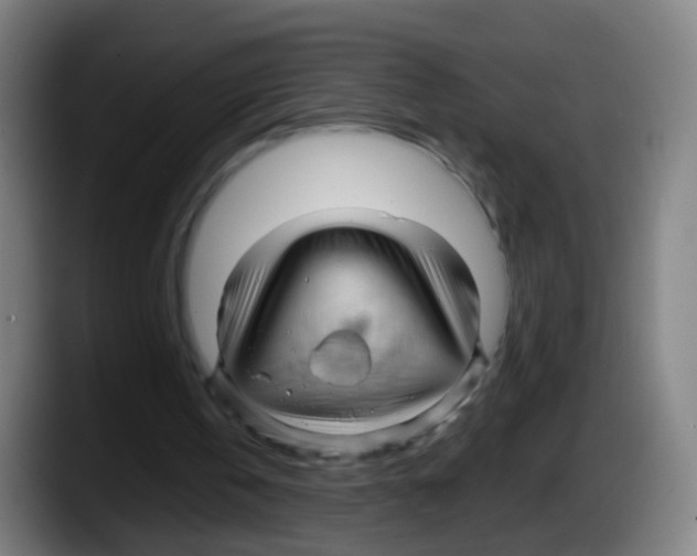 X0000087610146200705251949