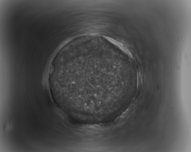 X0000087610147200705251949