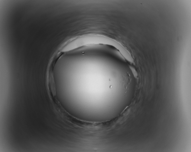 X0000087610148200705251949