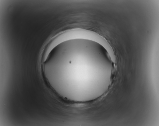 X0000087610150200705251949