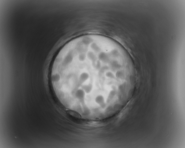 X0000087610151200705251949