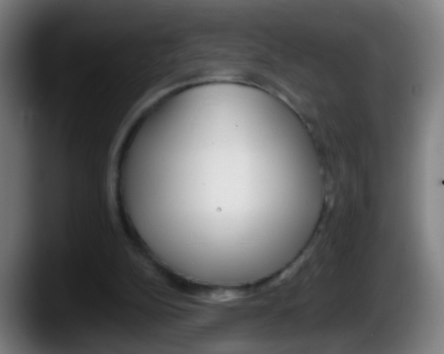 X0000087610152200705251949