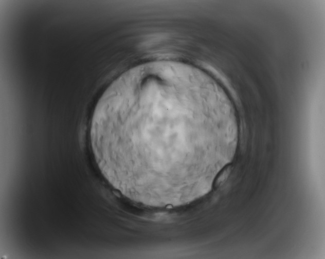 X0000087610153200705251949