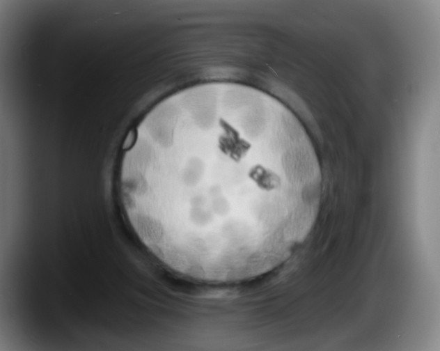 X0000087610155200705251949