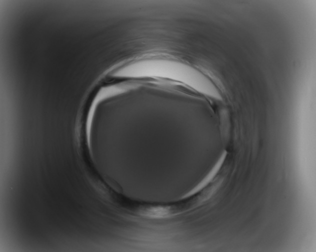 X0000087610156200705251949