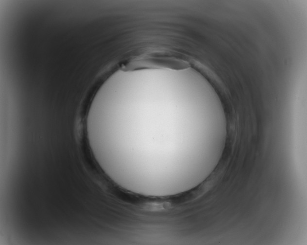 X0000087610160200705251949