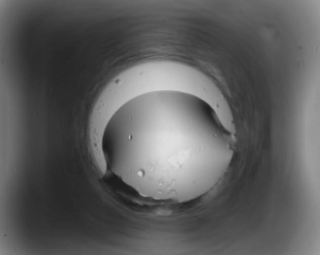 X0000087610162200705251949