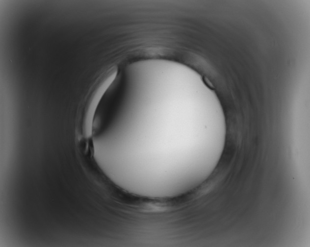 X0000087610164200705251949