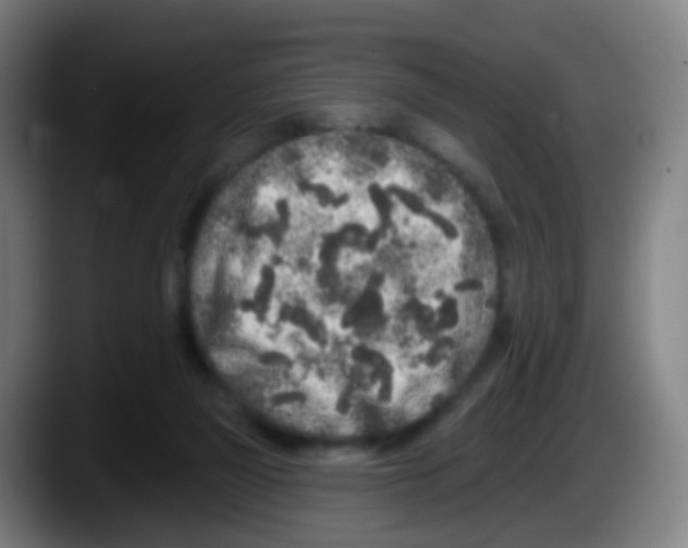 X0000087610165200705251949