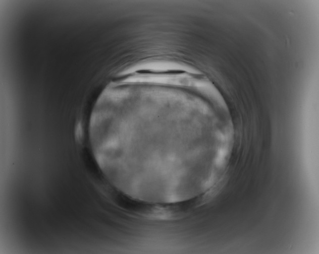 X0000087610166200705251949