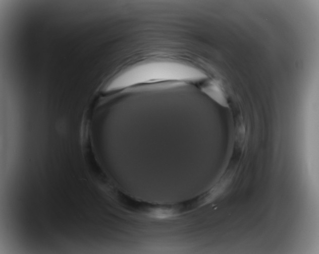 X0000087610168200705251949