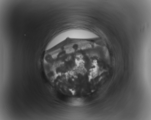 X0000087610169200705251950