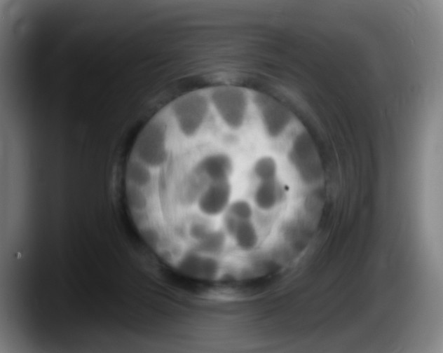 X0000087610171200705251950