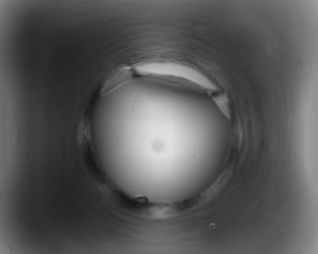 X0000087610172200705251950