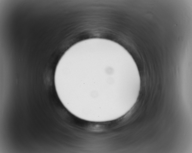 X0000087610174200705251950