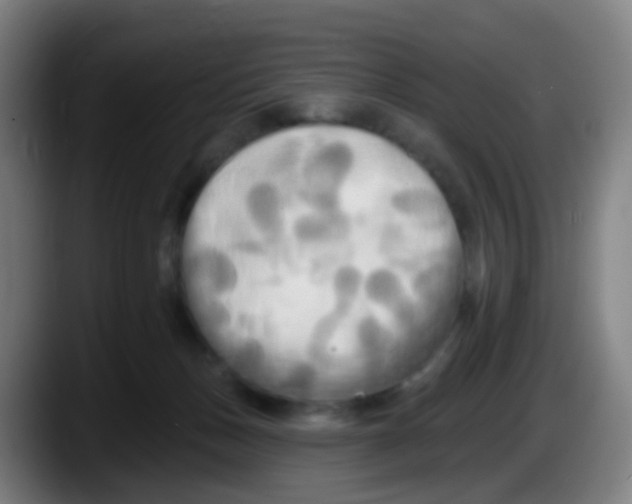 X0000087610175200705251950