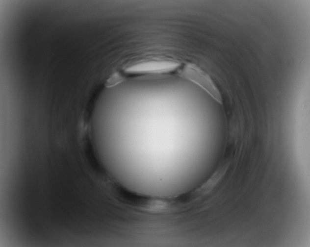 X0000087610176200705251950