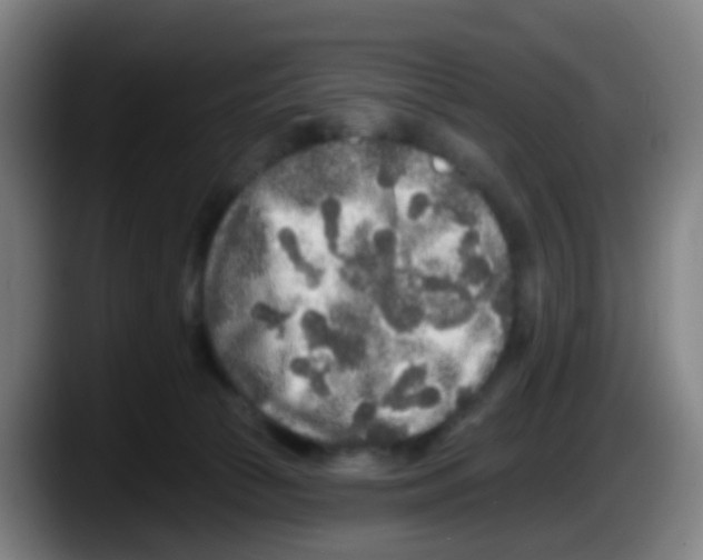 X0000087610177200705251950