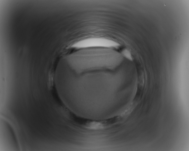 X0000087610180200705251950