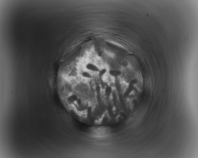 X0000087610181200705251950