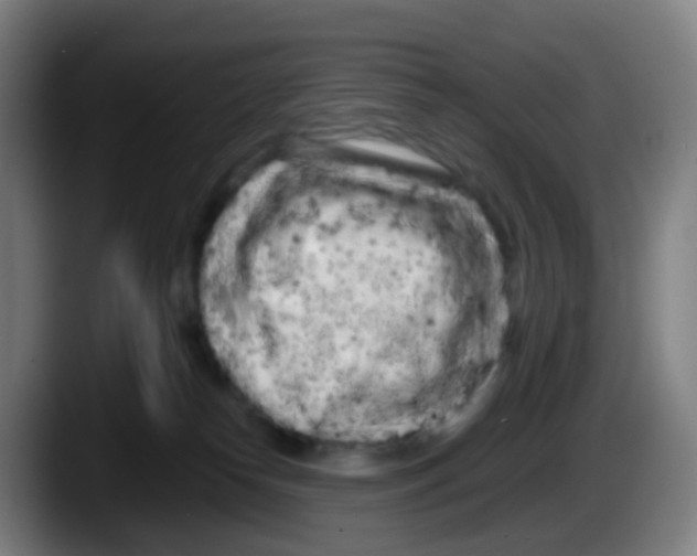 X0000087610182200705251950