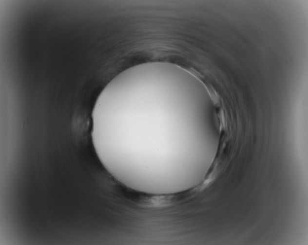 X0000087610184200705251950