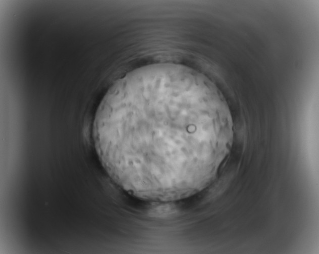 X0000087610185200705251950