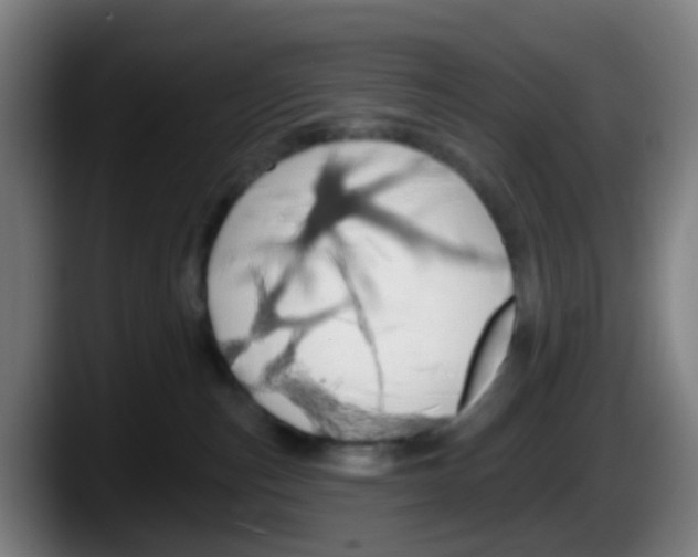 X0000087610187200705251950