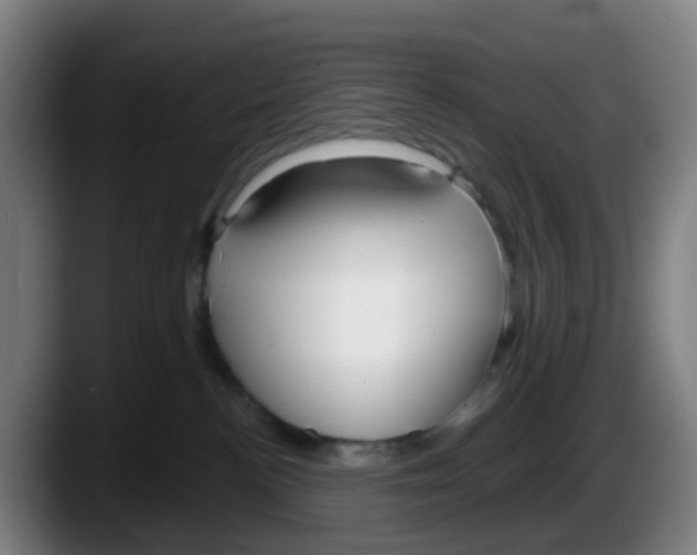 X0000087610188200705251950