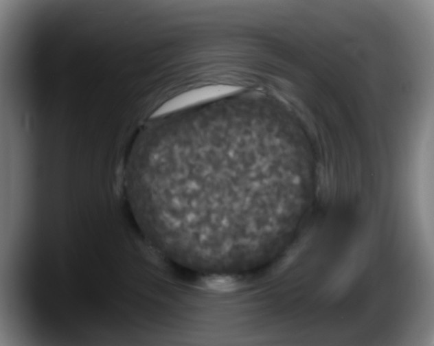 X0000087610189200705251950