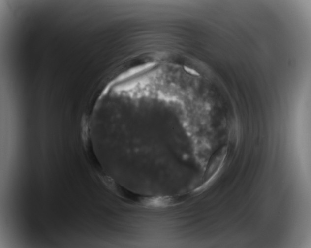 X0000087610191200705251950