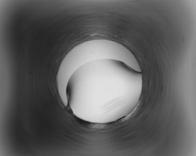 X0000087610192200705251950