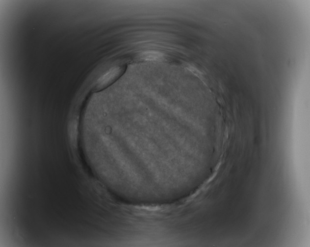 X0000087610194200705251949