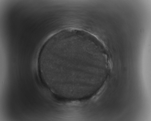 X0000087610196200705251949