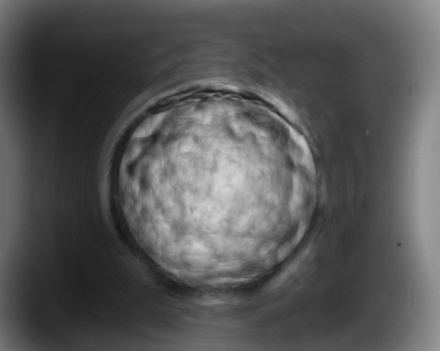 X0000087610199200705251949