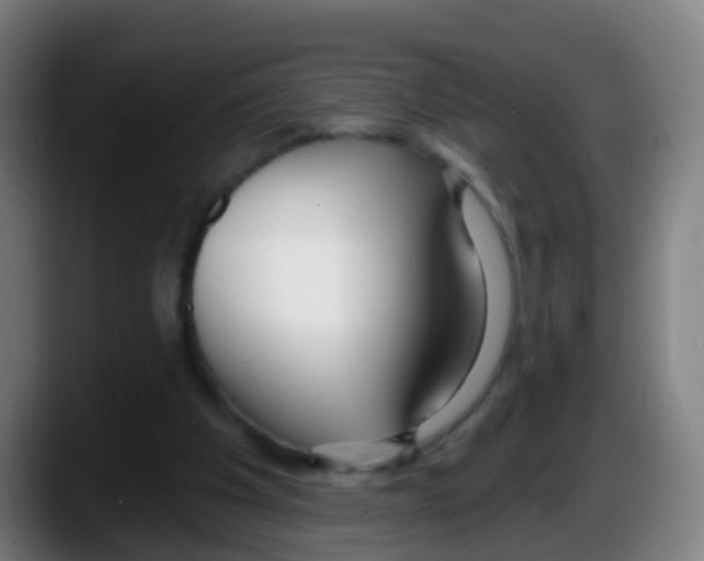 X0000087610201200705251949