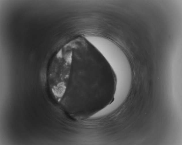 X0000087610202200705251949