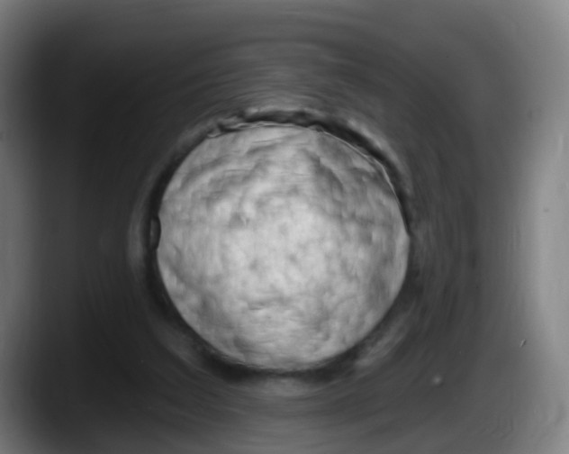 X0000087610203200705251949