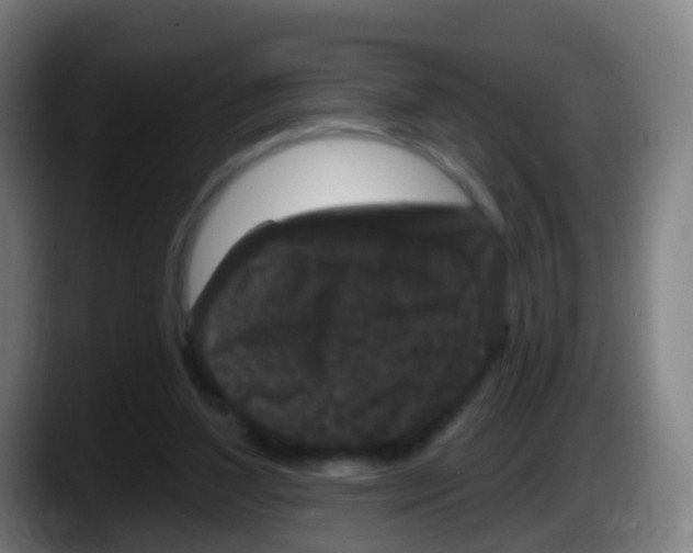 X0000087610204200705251949