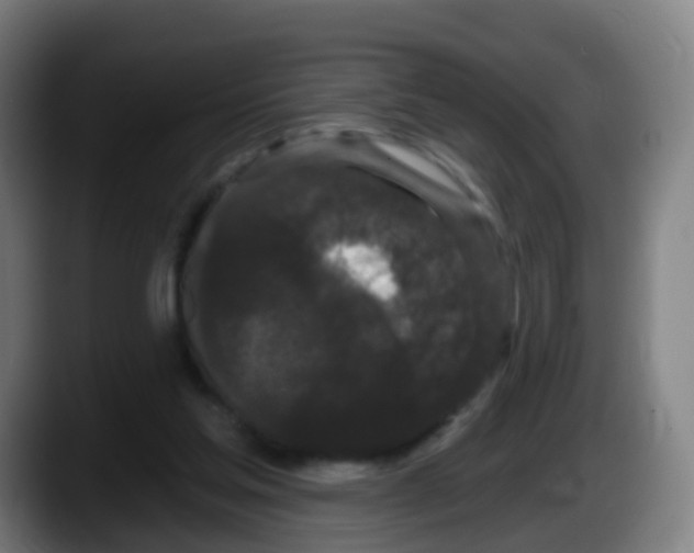 X0000087610205200705251949