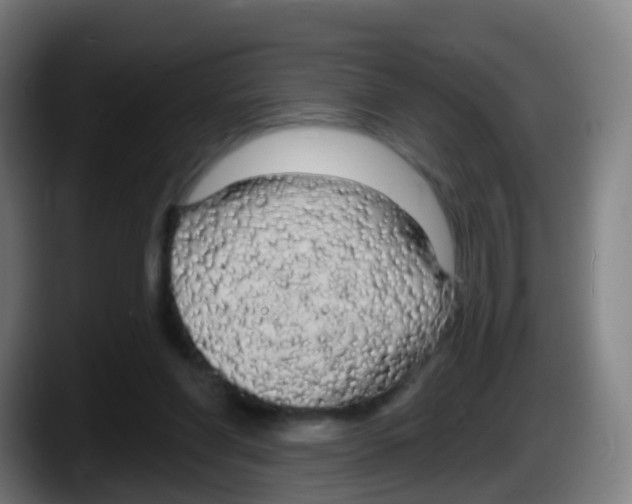 X0000087610206200705251949