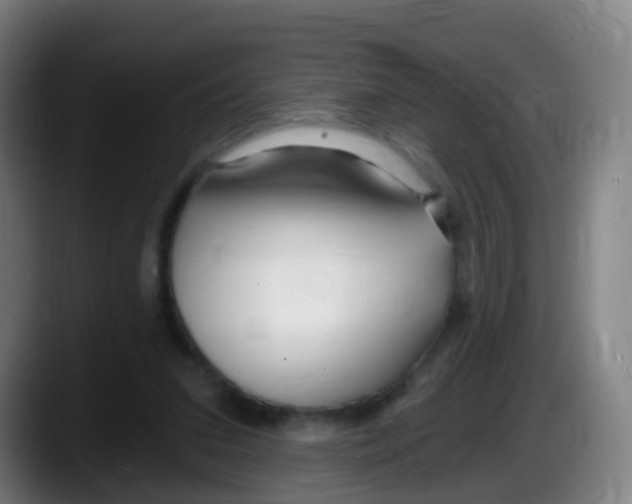 X0000087610207200705251949