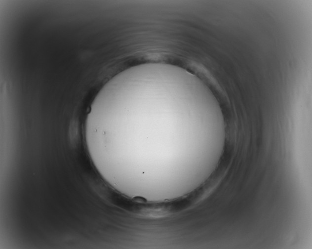 X0000087610213200705251949