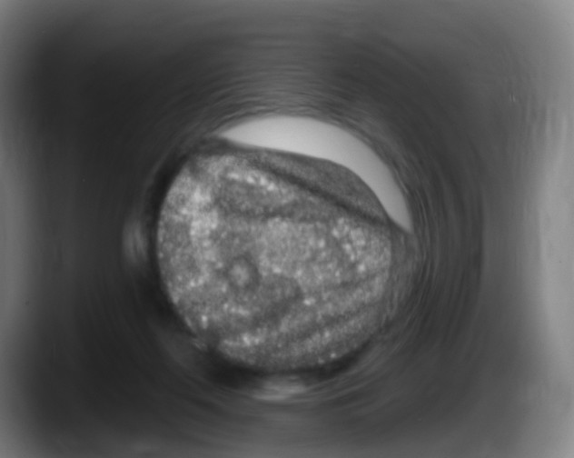 X0000087610214200705251949