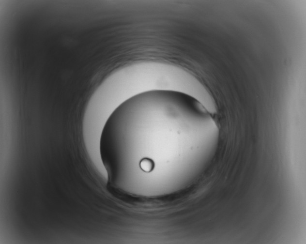 X0000087610215200705251949