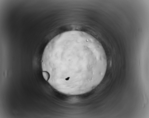 X0000087610218200705251949